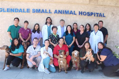 Glendale small animal hospital - I love the Glendale Small Animal Hospital. They are also vets. Affordable prices, good vets, very kind and thoughtful. 831 Milford St. Glendale.
